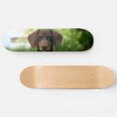 Brown Dachshund Puppy Skateboard (Horizontaal)