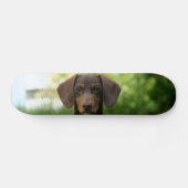 Brown Dachshund Puppy Skateboard (Horizontaal)