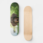 Brown Dachshund Puppy Skateboard (Voorkant)