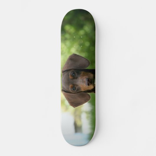 Brown Dachshund Puppy Skateboard (Voorkant)