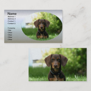 Brown Dachshund Puppy Visitekaartje