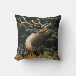BROWN DEER OP GROENE GRAS TIJDENS DAG KUSSEN