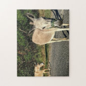 Brown Donkeys Animals Pets Fun Legpuzzel (Verticaal)
