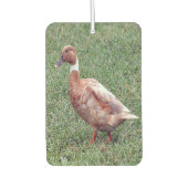 Brown Duck Air Freshener Luchtverfrisser (Voorkant)