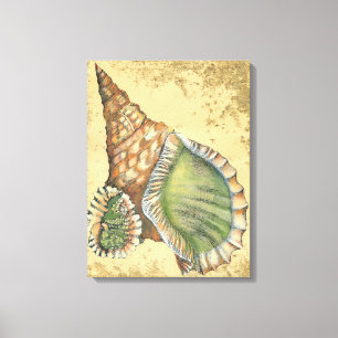Brown en Green Seashell Canvas Afdruk