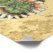 Brown en Green Seashell Poster (Hoek)