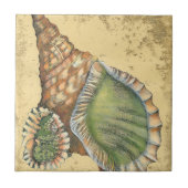 Brown en Green Seashell Tegeltje (Voorkant)