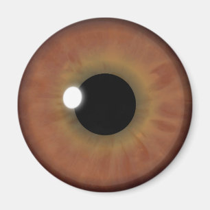Brown Eye Iris Eyeball Cool Custom Round Magnets