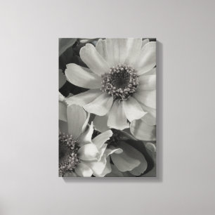 Brown Eyed Susan Flowers Canvas Afdruk