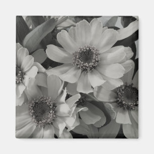 Brown Eyed Susan Flowers Magneet