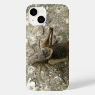 Brown Field Cricket Case-Mate iPhone 14 Hoesje