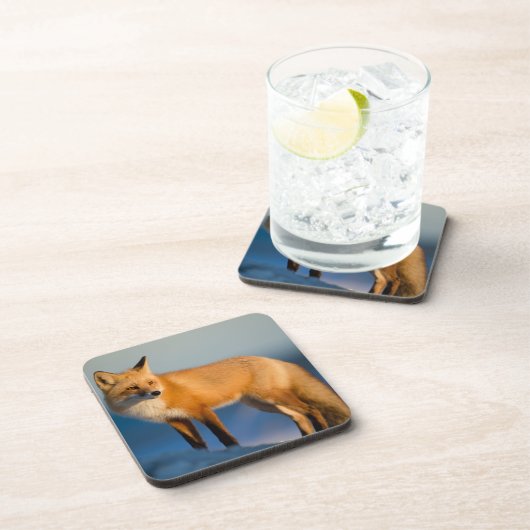 Brown Fox Beverage Coaster Bier Onderzetter (Rechterzijde)