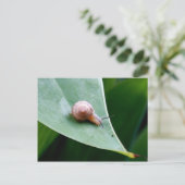 Brown Garden Snagel Briefkaart (Staand voorkant)