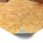 Brown Haida Sun Masker Poster (Hoek)