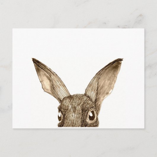 Brown Hare II Briefkaart (Voorkant)
