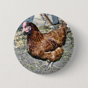 Brown Hen op de achterkant Ronde Button 5,7 Cm