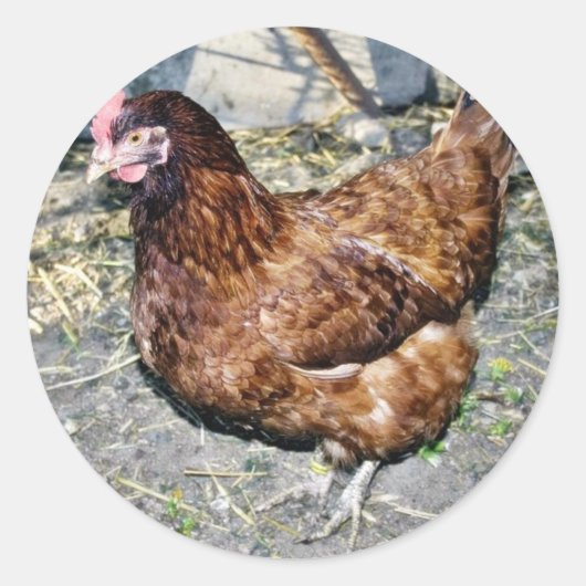 Brown Hen op de achterkant Ronde Sticker (Voorkant)