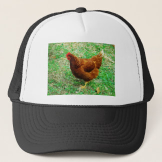 Brown Hen Trucker Pet