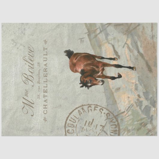 Brown Horse Carte Postale, Franse groene ontkoppel Tissuepapier (Voorkant)