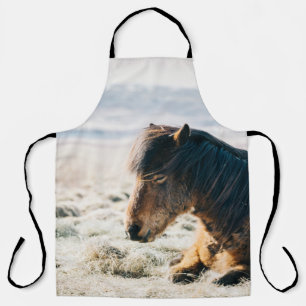 BROWN HORSE SITTING ON GRASS NEAR BEACH SCHORT