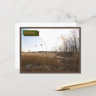 Brown Kittery Seapoint Beach Maine Natuur Briefkaart