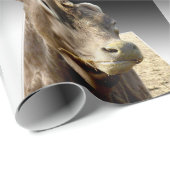 Brown Koe Munching on Hay, Cadeaupapier (Rol Hoek)