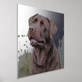 Brown Labrador Portrait Folie Afdrukken (Laagn)