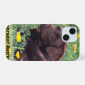 Brown Labrador Retriever in Poppy Patch (Verso Horizontal)