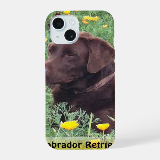 Brown Labrador Retriever in Poppy Patch (Verso)