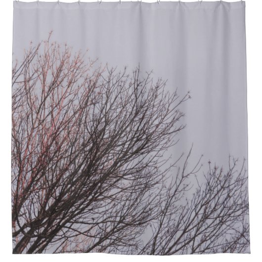 BROWN LEAFLESS TREE ONDER WITTE SKY DOUCHEGORDIJN (Voorkant)