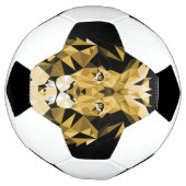 Brown Lion Voetbal (Gedraaid)