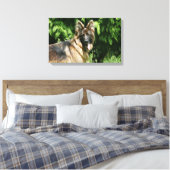 Brown Long Hazard German Shepherd 1 Canvas Afdruk (Insitu (Slaapkamer))