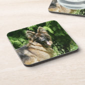 Brown Long Hazard German Shepherd 1 Drankjes Onderzetter (Linkerzijde)