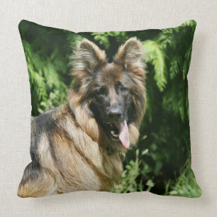 Brown Long Hazard German Shepherd 1 Kussen