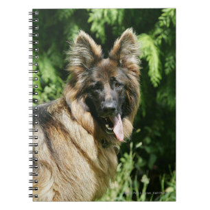 Brown Long Hazard German Shepherd 1 Notitieboek