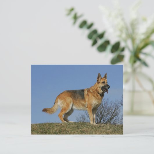 Brown Long Hazard German Shepherd 2 Briefkaart (Staand voorkant)