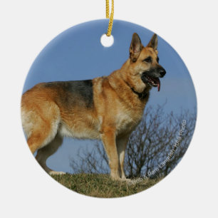 Brown Long Hazard German Shepherd 2 Keramisch Ornament