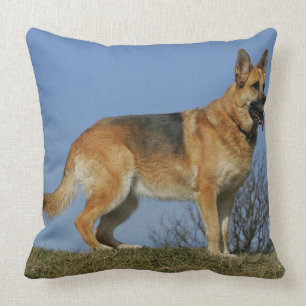 Brown Long Hazard German Shepherd 2 Kussen