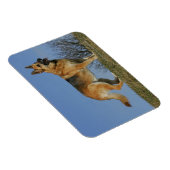 Brown Long Hazard German Shepherd 2 Magneet (Rechterzijde)