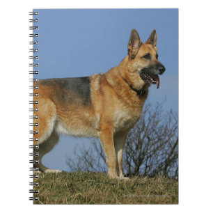 Brown Long Hazard German Shepherd 2 Notitieboek