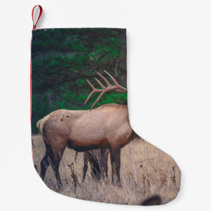 BROWN MOOSE NEAR GREEN TREE OP DAGTIME KLEINE KERSTSOK