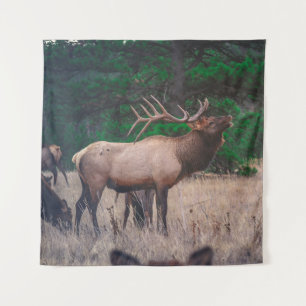 BROWN MOOSE NEAR GREEN TREE OP DAGTIME WANDKLEED