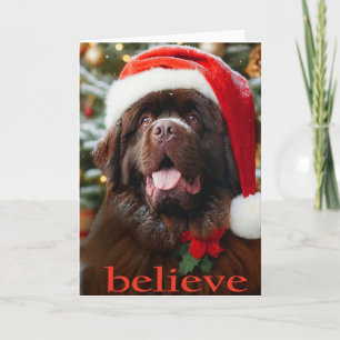 Brown Newf Christmas Kaart 'Believe'