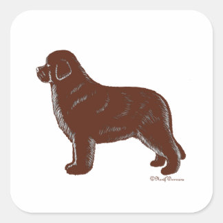 Brown Newfoundland Dog Vierkante Sticker