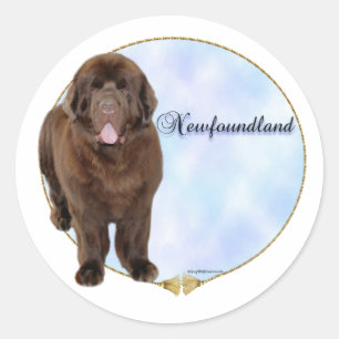 Brown Newfoundland Portrait Sticker
