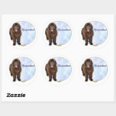 Brown Newfoundland Portrait Sticker (Vel)