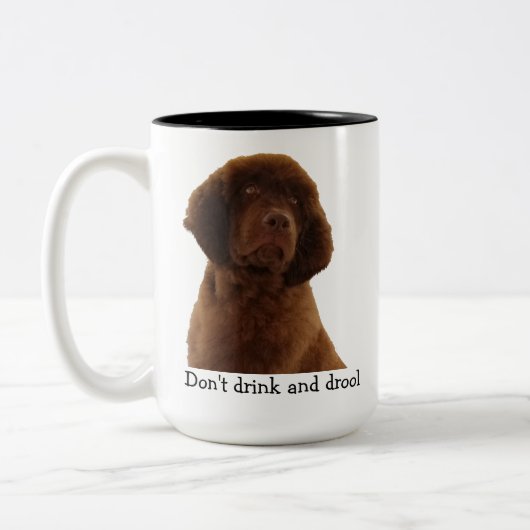 Brown Newfoundland Puppy Mokken & meer (Links)