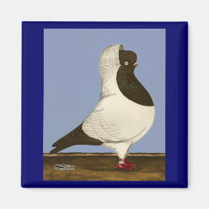 Brown Nun Pigeon Magneet
