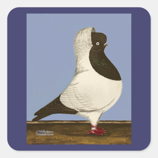 Brown Nun Pigeon Vierkante Sticker (Voorkant)