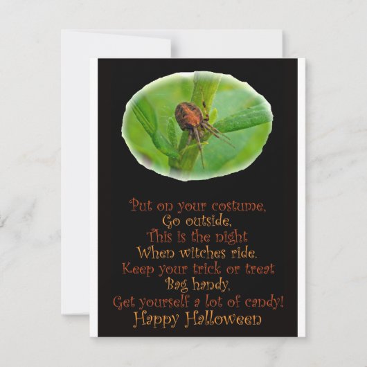 Brown Orange Araneus Halloween Party Invitation (Devant)
